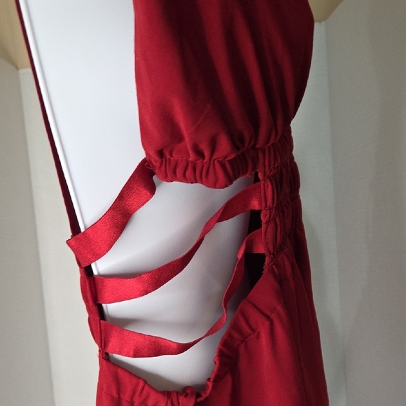 Express Bold Red Dress - Picture 6 of 8
